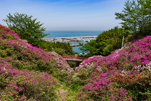 淡輪遊園（あたご山公園）